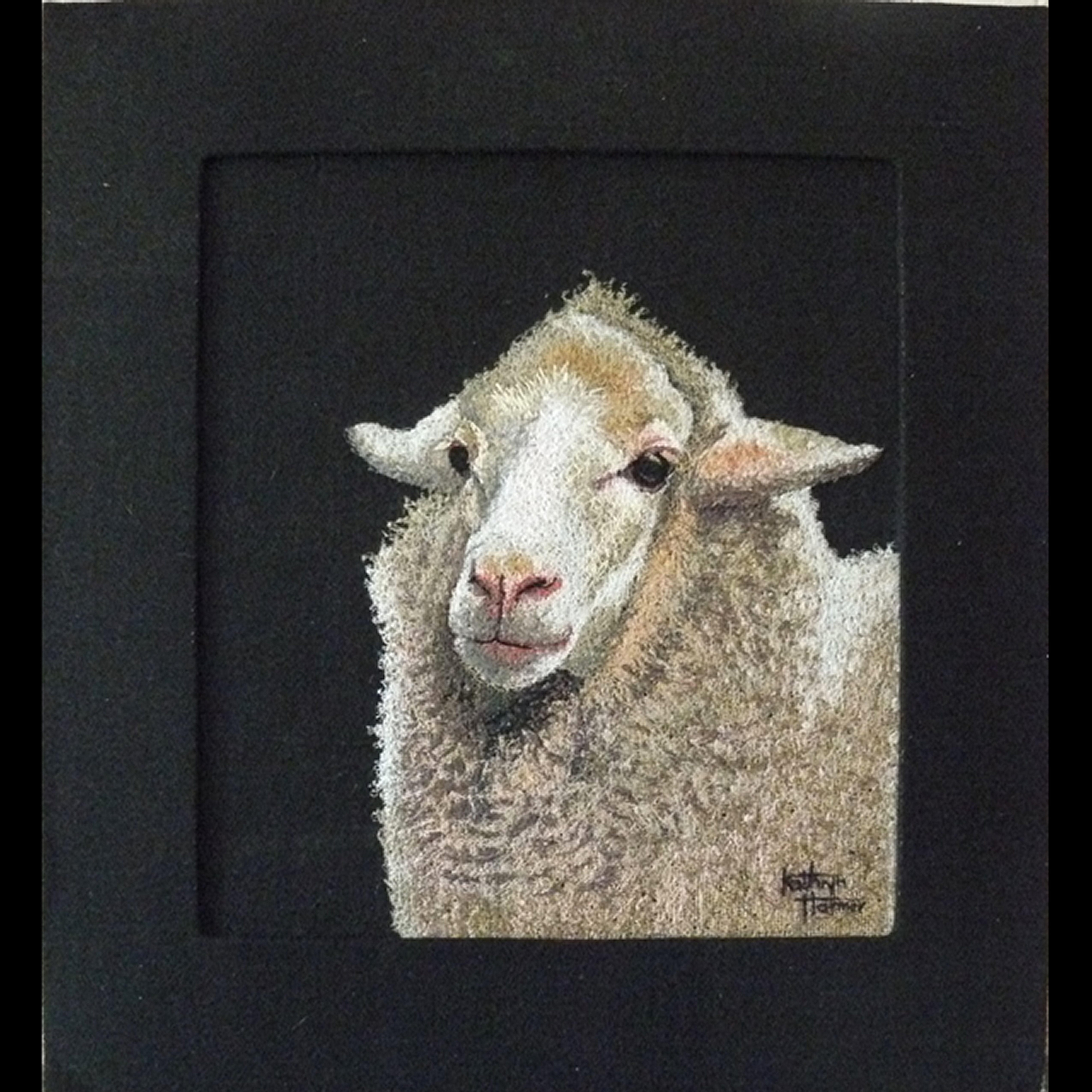 Portrait of a Sheep Named Jeanette 1